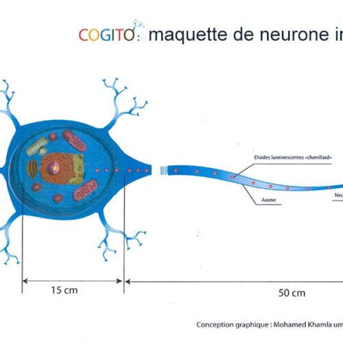 Cogito, la maquette de neurone interactif, conçue par Mohamed Khamla (2010)