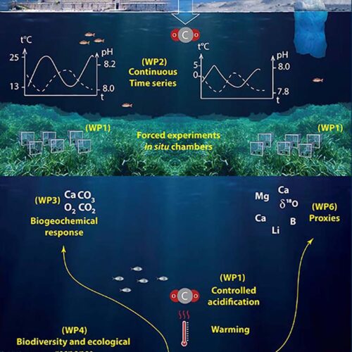 Impact des rejets de CO2 dans l'atmosphère sur les écosystèmes marins-J-P Gattuso-Mohamed Khamla (2019)