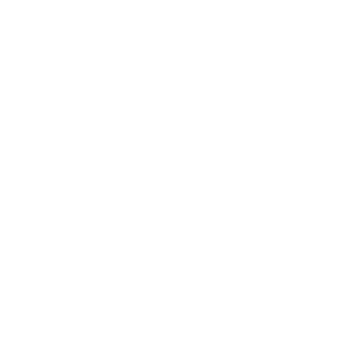 Logo LBDV