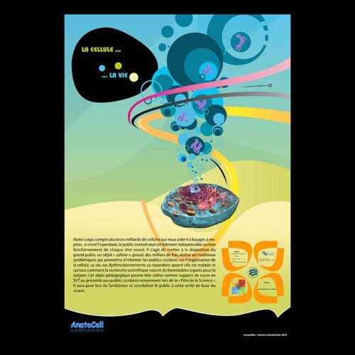 Poster pour accompagner CELLia, la maquette de cellule interactive pour la diffusion de la biologie auprès du grand public.