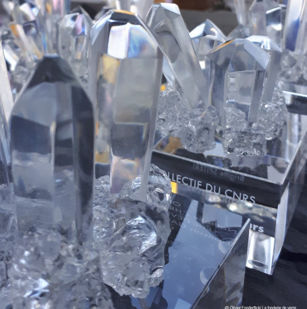 Un "Cristal Collectif" du CNRS pour récompenser le projet de plateforme Mutimage